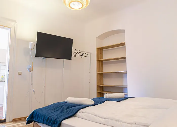Stylish & Comfortable Apt. Centrally Placed Viyana
